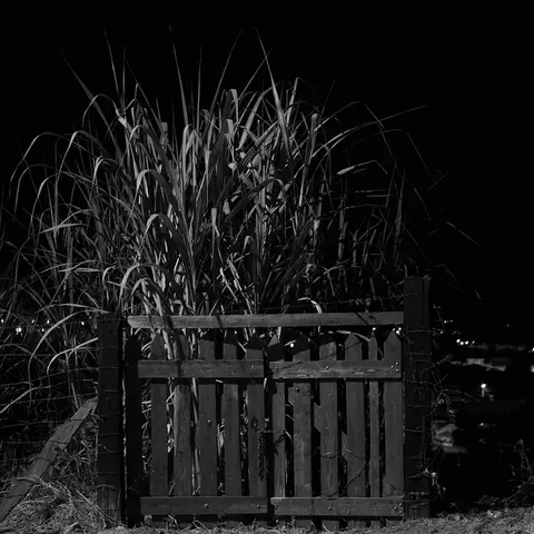 Portas cerradas