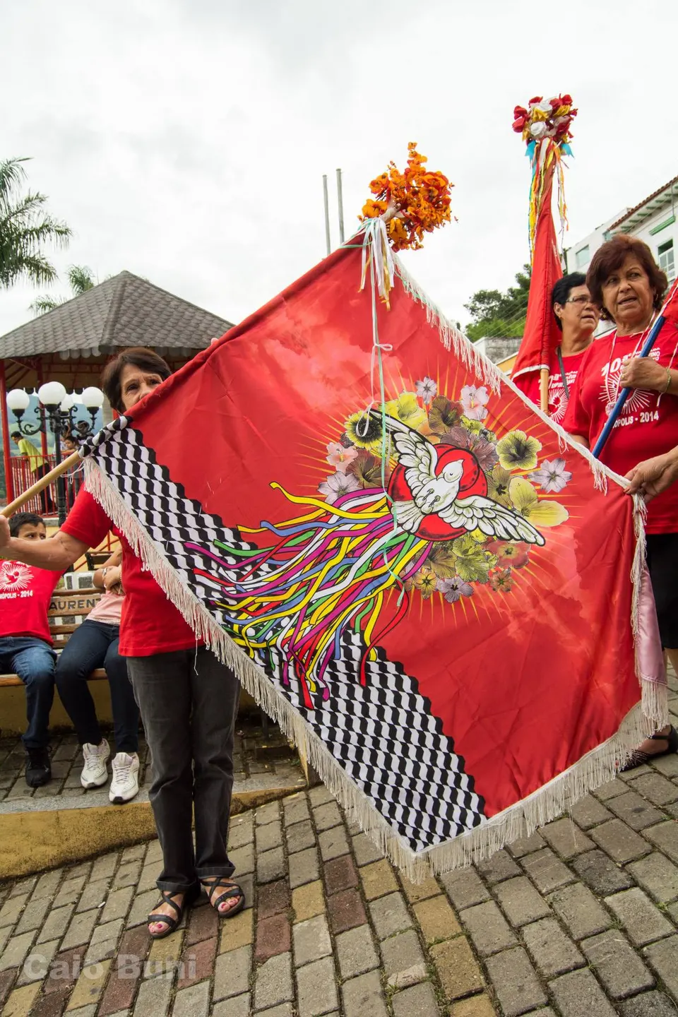 Festa do Divino em Delfim Moreira