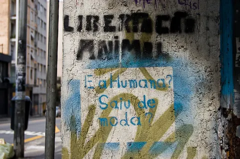 Intervenções Urbanas