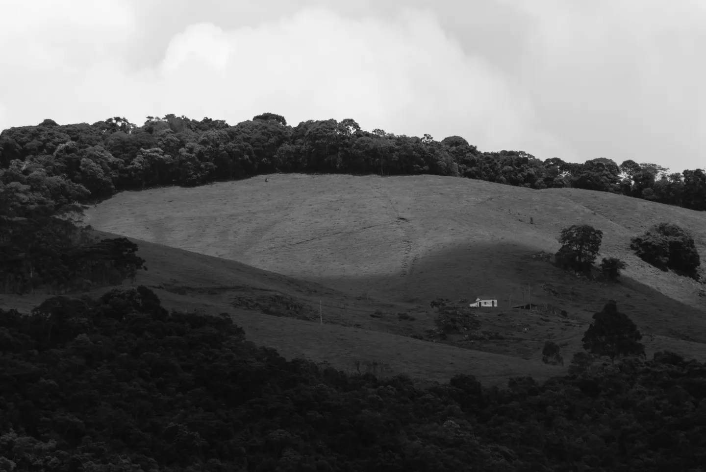 Paisagens monocromáticas