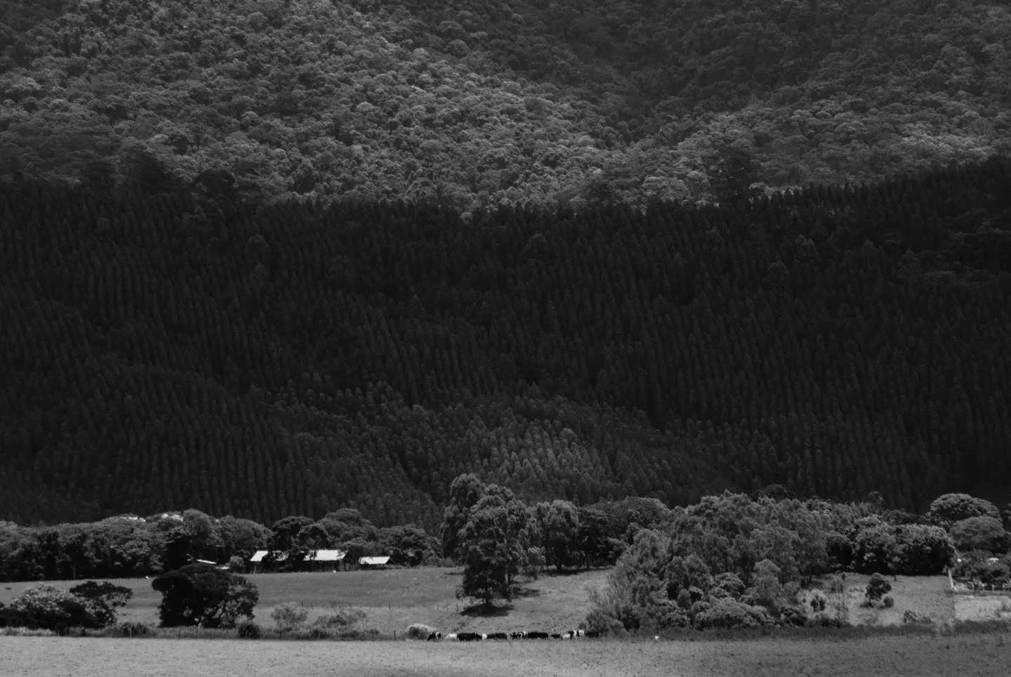 Paisagens monocromáticas
